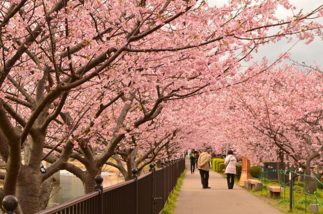 Spa・Resort竜宮の使い 東伊豆町 エクステリア 写真